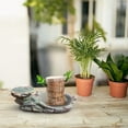 thumbnail image 3 of B Flowerpot Tray Thickened Plastic Base For Succulent Plants And Potted Plants Water Collection And Leak Prevention For Indoor And Outdoor Use Durable And Easy To Clean For Home Garden, 3 of 4