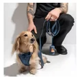 thumbnail image 3 of Conjunto Premium De Accesorios Para Paseo Para Perro Y Gato, 3 of 8
