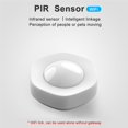thumbnail image 2 of Sensor De Movimiento Humano Wi-Fi, Alarma De Detección De Seguridad Inalámbrica, Detector Infrarrojo Humano Para Oficina En Casa, Hotel Minnieouse AF000992-00, 2 of 6