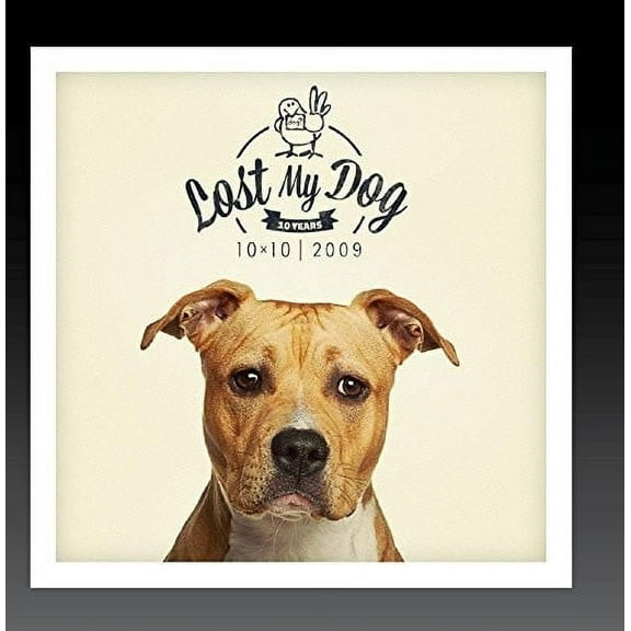 Various Artists - Lost My Dog 10x10 - 2009 - Electronica - CD