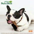 thumbnail image 3 of Nylabone Nutri Dent Filet Mignon Flavored Dental Dog Chew Treats Medium (40 Count), 3 of 10
