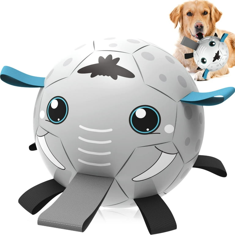 QDAN Dog Toys Soccer Ball, Interactive Dog Toys for Tug of War