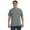 Gray, variant on Comfort Colors Adult Heavyweight RS T-Shirt - C1717