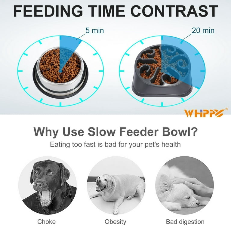 WHIPPY Slow Feeder Dog Bowl, Pet Food Feeding Bowl, Preventing Choking  Bloat Dogs Bowl for Small Medium Large Dogs