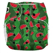 Imagine Baby Products XL Pocket Diapers, Snap, Watermelon Patch