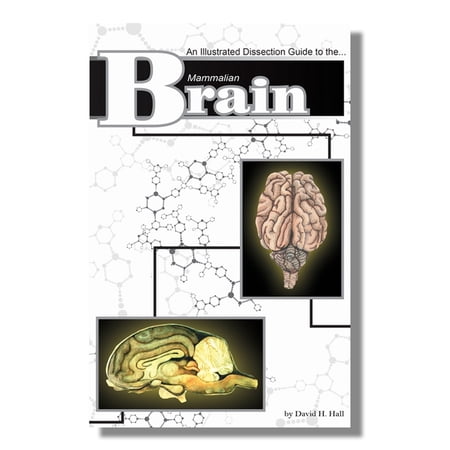 Anatomy Lab Mammal Brain Dissection Guide price history on PriceWatchPro