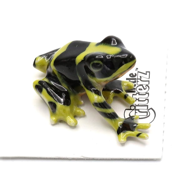 Little Critterz Frog Poison Dart Frog "Harlequin" - Hand-painted Home Decor Reptile Decorative Figurine - Miniature Porcelain Figurine