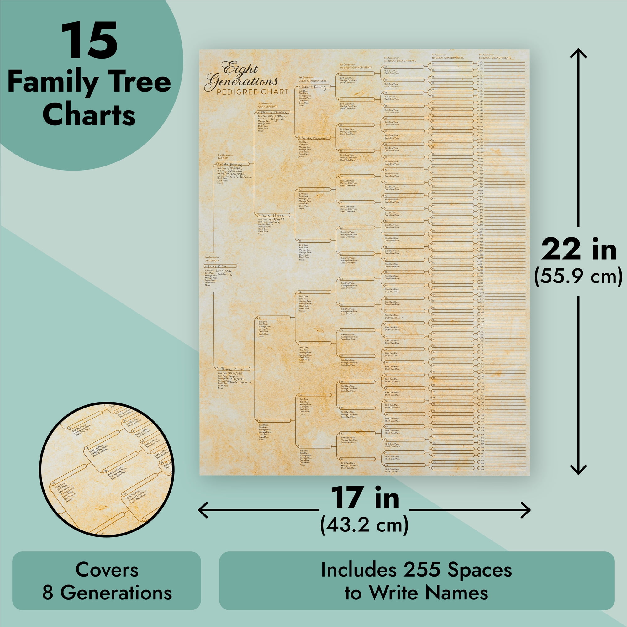 15-Pack Family Tree Charts to Fill In, Blank 8 Generation Genealogy Poster  for F