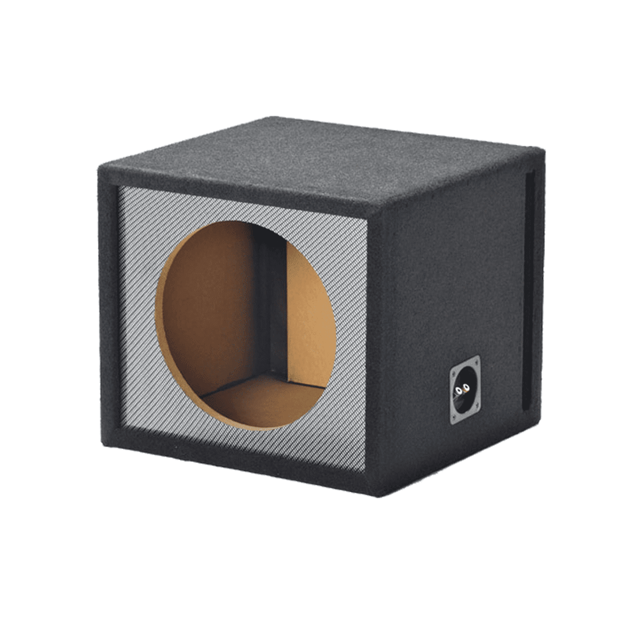 10SVNC - Alpine-10 Single Slot Carbon Fiber Vented - E-S-R-X Subwoofer