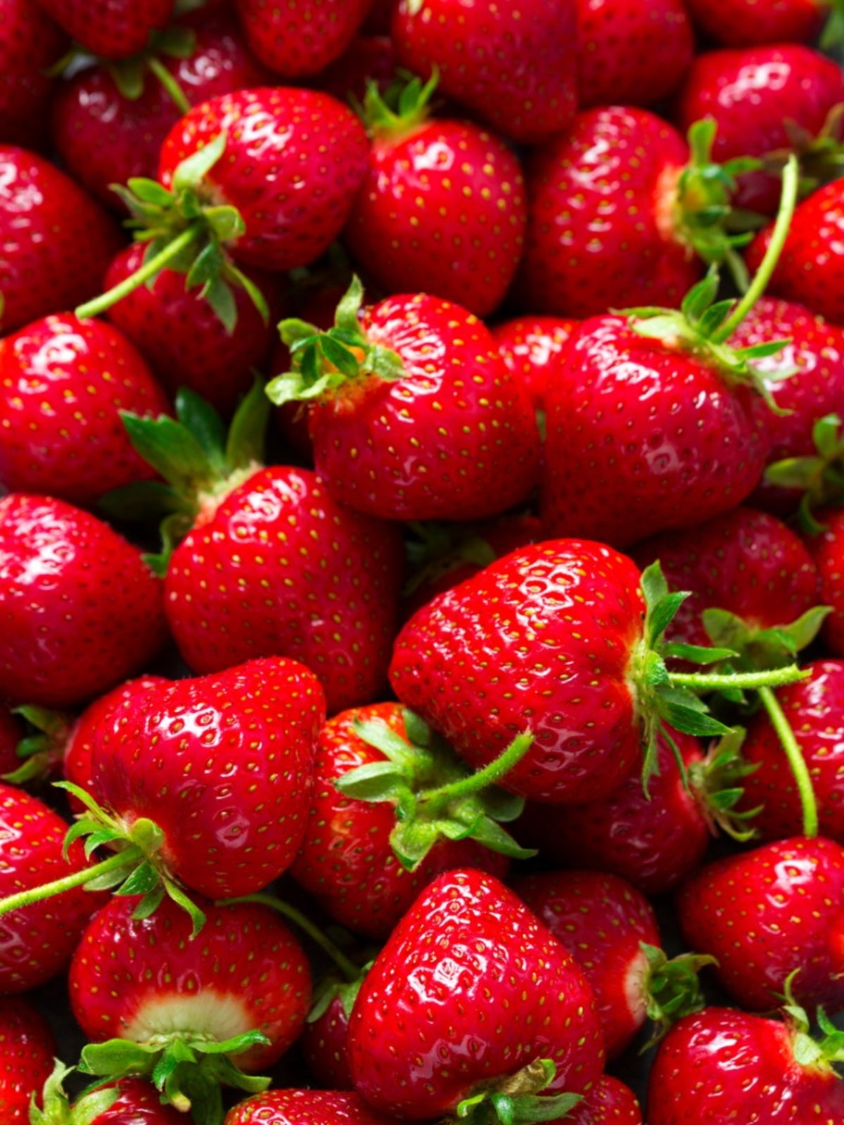 Fresh Long Stem Strawberries, 1 lb Container
