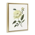 thumbnail image 2 of Stupell Industries Transitional Cream Garden Peony with Buds Gold Floating Frame Canvas Art, 17 x 21, by Nan, 2 of 8