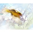thumbnail image 2 of Tenoever, William 18x15 White Modern Wood Framed Museum Art Print Titled - Oriole, 2 of 4