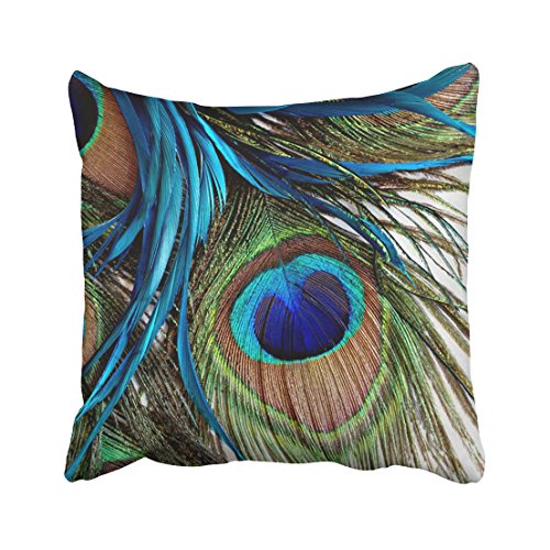 WinHome Decorative Custom Peacock Feather Pillowcase Zippered Pillow