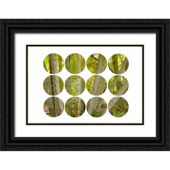 Murdock, Ramona 14x11 Black Ornate Wood Framed with Double Matting Museum Art Print Titled - Bamboo Circles