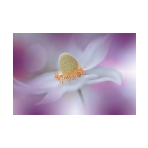 Trademark Fine Art Juliana Nan Rain Of Lightiii Canvas Wall Art