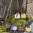 thumbnail image 3 of Figuras De Estatua De Pájaros De Jardín De Decoración De 6 Recuentos Para Césped Y Patio Premium Sunnimix estatuas de aves, 3 of 8