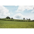 thumbnail image 3 of Marshall, Laura 18x13 Black Modern Framed Museum Art Print Titled - Lake District IV, 3 of 5