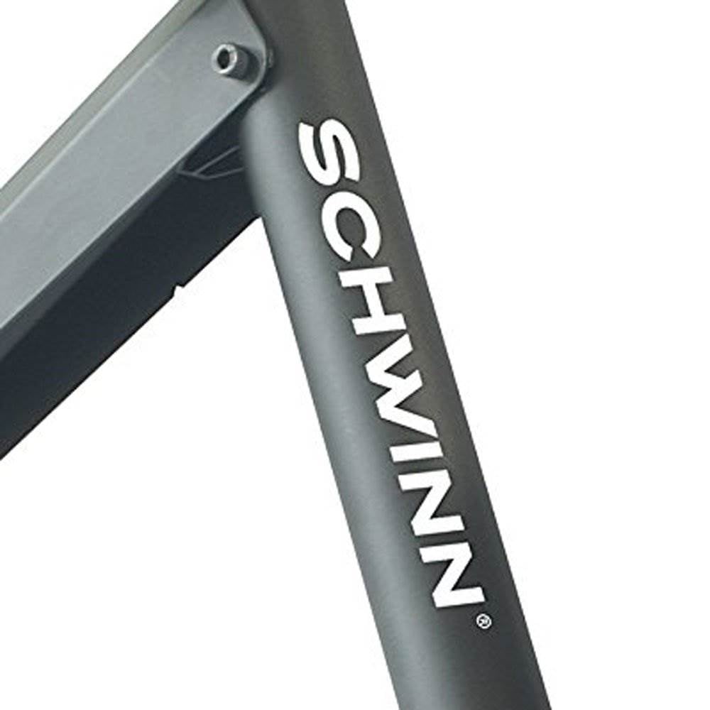 schwinn mag trainer