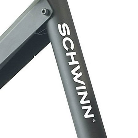 schwinn trainer stand