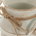 thumbnail image 4 of unbranded Maceta De Hierro Beige Estilo Clásico Para Jardín Oficina Y En Interiores, 4 of 5