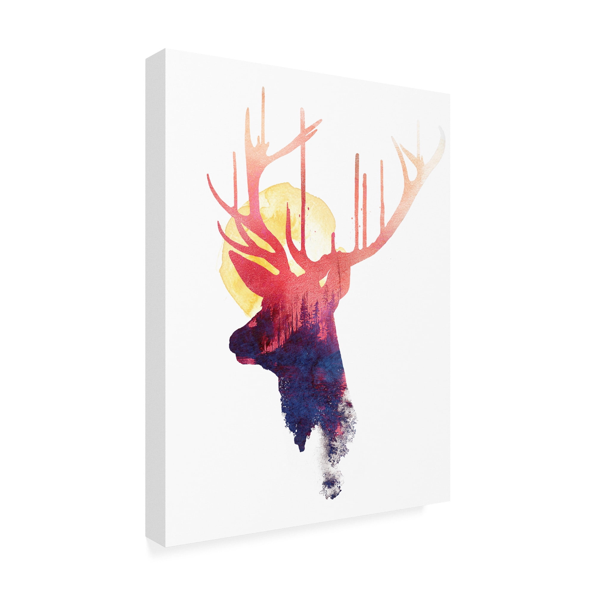 Trademark Fine Art 'The Burning Sun' Canvas Art by Robert Farka