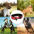 thumbnail image 5 of Reflective Dog Collar Nylon Collar - Adjustable Pet Collar With Quick Release Metal Clasp, 5 of 5