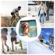 thumbnail image 4 of Balery Cute Angel Winged Dog Calzoncillos bóxer para hombre, ropa interior de algodón suave y transpirable con cinturilla de nailon-Medium, 4 of 5