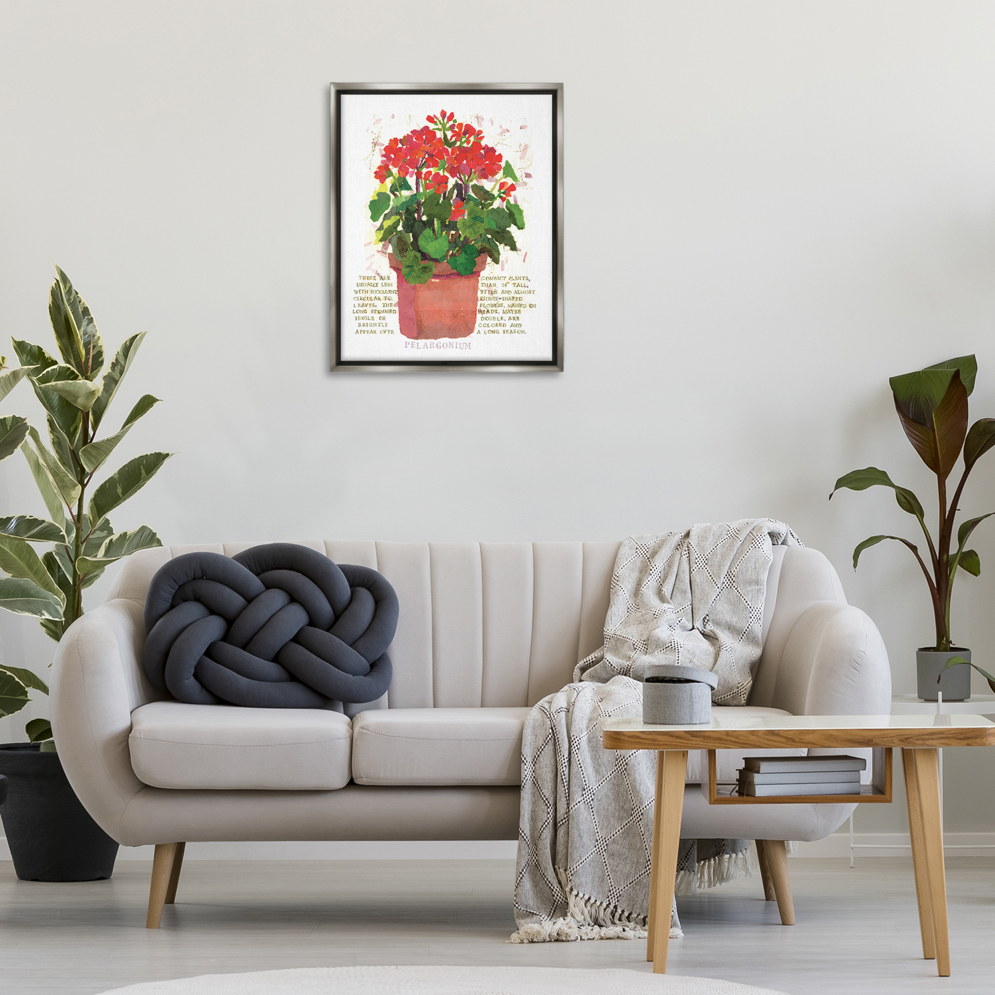 Stupell Industries Red Potted Geranium Botanical & Floral Painting Gray Floater Framed Canvas Art Print Wall Art, 25 x 31