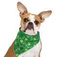 thumbnail image 1 of Kiss Me Im Irish - Festive Green Shamrock St. Patty Spirit Bandanas For Dogs 19", 1 of 1