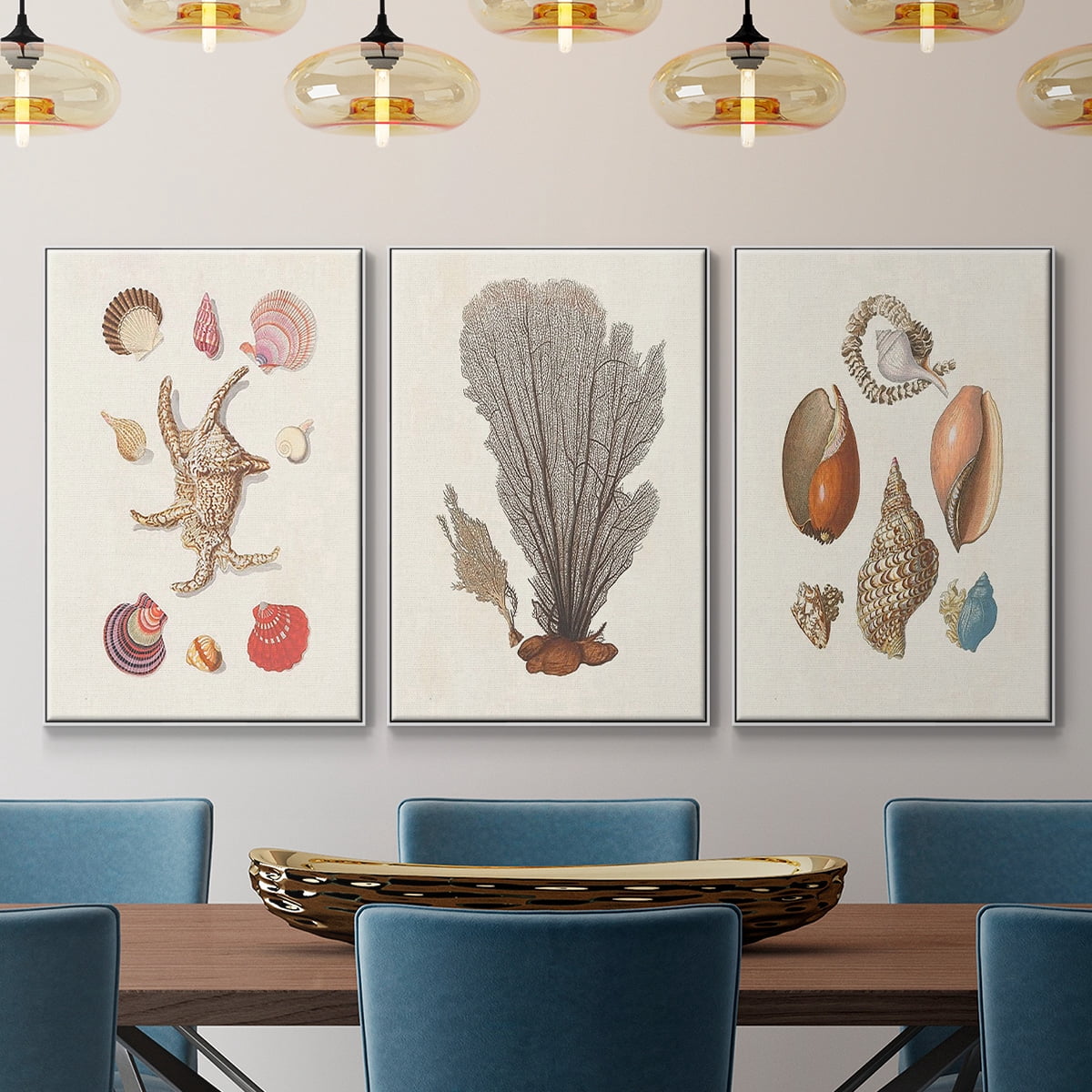 Knorr Shells & Coral I - Framed Premium Gallery Wrapped Canvas L Frame 3 Piece Set - Ready to Hang