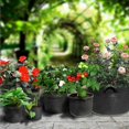 thumbnail image 3 of 53 Pack Non Woven Grow Bag Black Planting Bag - 1Gallons 18*15cm, 3 of 3