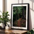 thumbnail image 4 of Fall Trail - Oregon Photography Forest Nature Woodland Autumn Wilderness Scenic Landscape Black Framed Wall Art Print 20 x 30 inches, 4 of 8