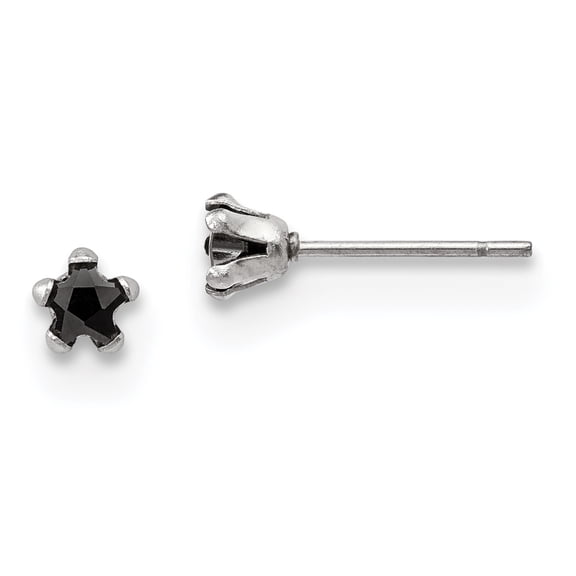 Stainless Steel Polished 4mm Black Star CZ Stud Post Earrings