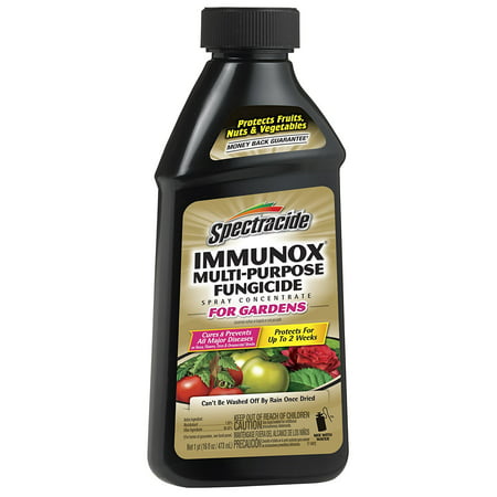 Spectracide Immunox Multi-Purpose Fungicide Spray Concentrate for Gardens, 16-fl (Best Fungicide For Roses)