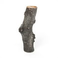 thumbnail image 4 of Gild Design House Vase en Résine Polystone Grand Tronc d'Arbre en Brun, 4 of 5