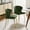 FOREST, variant on Tina's Home Velvet Dining Chairs Set of 2 Upholstered Wingback Side Chairs Living Room Kitchen Forest