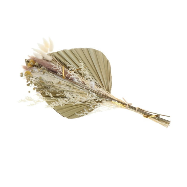 Hojas de palma secas naturales, hierba, 40 cm, ramo decorativo de palma, ramas secas, caña Conjunto B