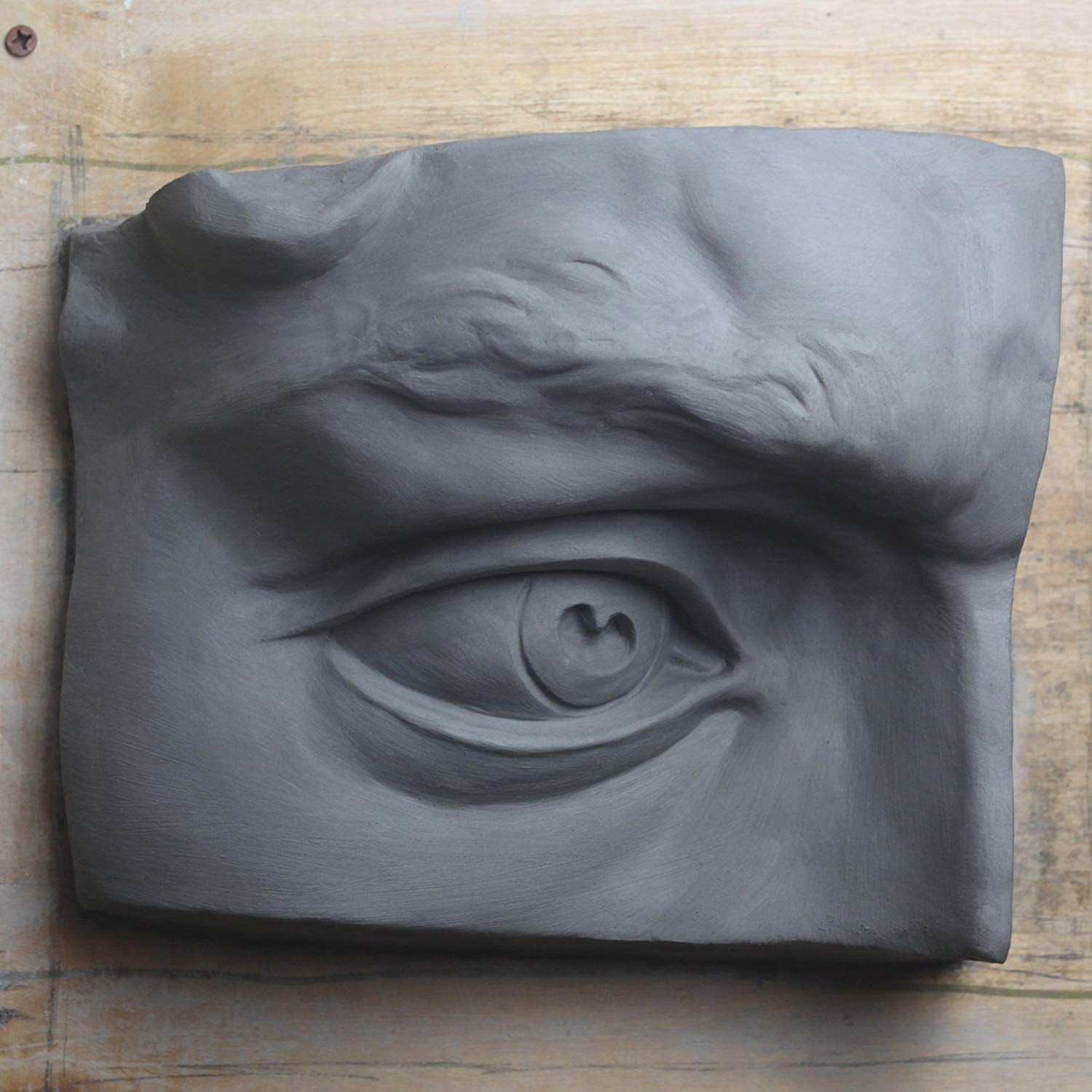 Modeling Clay - Sculpting and Molding Premium Air Dry Clay (25 lb), Pro-Grade WED clay is extremely pliable sculpture clay used for modeling and molding.., By Aurora Pottery