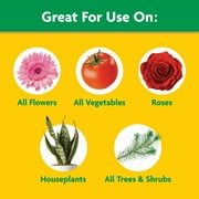 Miracle-Gro Water Soluble All Purpose Plant Food, For All Plant Types, 5 lbs.