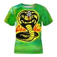 thumbnail image 5 of Cobra Kai T-Shirts for Boys Girls, Kids 3D Print Short Sleeve, Unisex Crew Neck Tee Shirts for Youth, 5 of 9