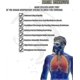 thumbnail image 3 of High Altitude Mask, Training Workout Mask Men To Improve Lung Capacity, 24 Level Breathing Resistance Fitness Mask To Upgrade Endurance, For All Sport, 3 of 4