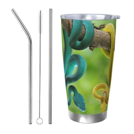 

Coaee Blue Viper And Yellow Viper Snake for 20oz Insulated Kettle Water Bottle For Running Hiking Cycling Climbing Men S Woman Insulated Water Bottle-Straw Three-piece Set