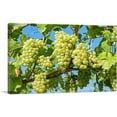 thumbnail image 1 of ARTCANVAS Green Grapes Home decor Canvas Art Print - Size: 26" x 18" (0.75" Deep), 1 of 9
