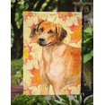 thumbnail image 3 of Carolines Treasures BB9937GF Drapeau de Chute Rhodié - Taille du Jardin, 3 of 3