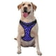 thumbnail image 1 of Fotbe Beautiful Purple Snowflakes Arnés para Perro con Estampado –Chaleco Ajustable Acolchado con Asa de Control para Perros Grandes-Large, 1 of 6