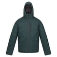 thumbnail image 1 of Regatta - Chaqueta Impermeable Colehurst para Hombre (Aguilones Verdes) Regatta UTRG8256_greengables, 1 of 4