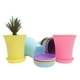 thumbnail image 3 of Bandejas para platillos, macetas para suculentas, macetas para flores de exterior, macetas con plato de agua, 60 unidades, 3 of 6