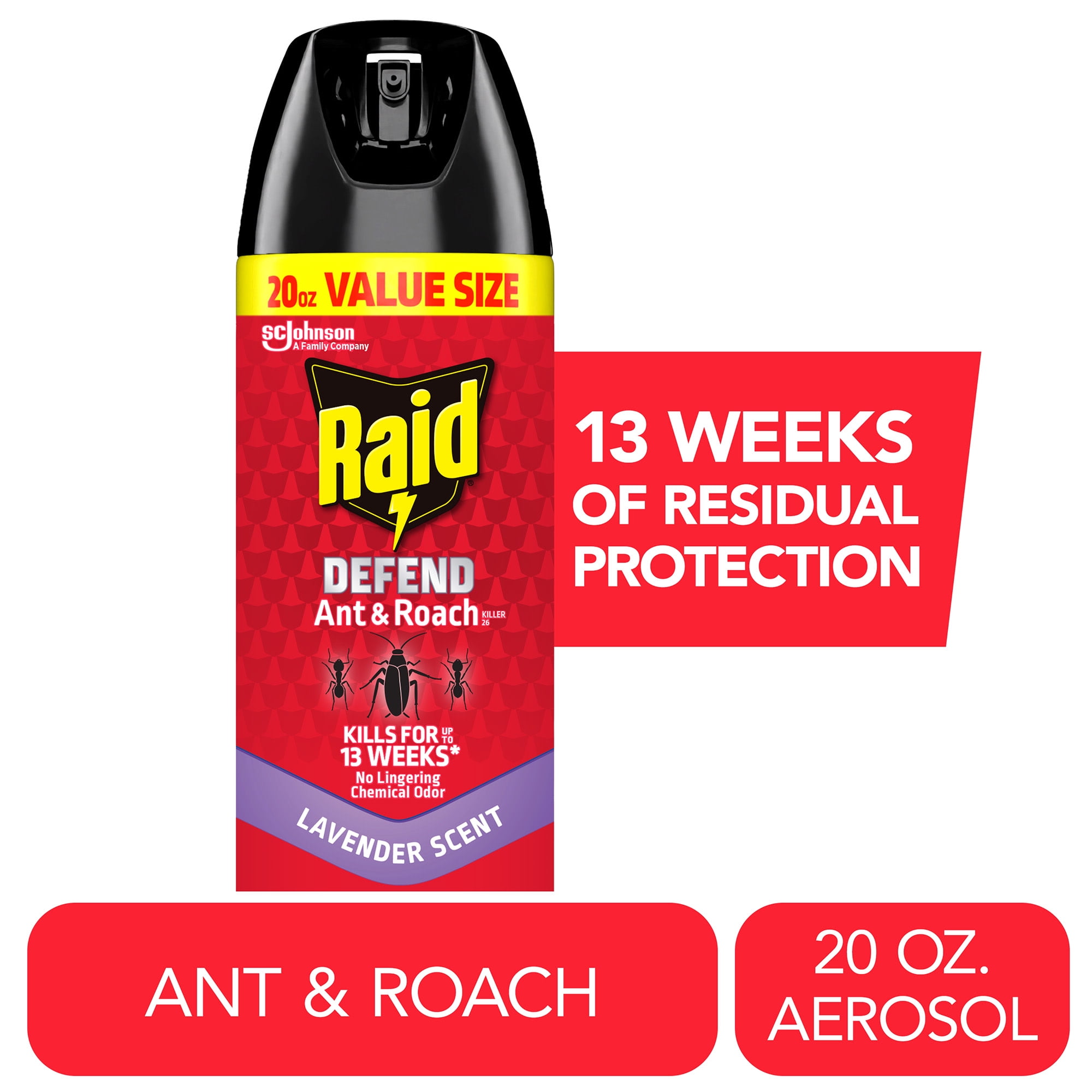 Raid 22 oz Home & Pet Friendly Indoor Bug Killer Spray, Safe for