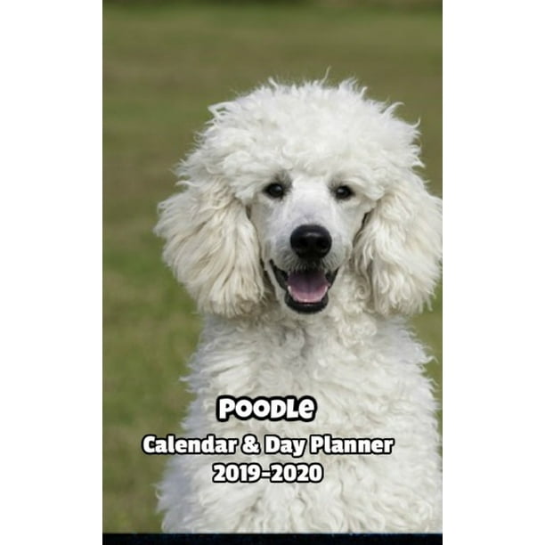 Poodle Calendar & Day Planner 2019-2020 - Walmart.com - Walmart.com Poodle Calendar & Day Planner 2019-2020 - Walmart.com - Walmart.com