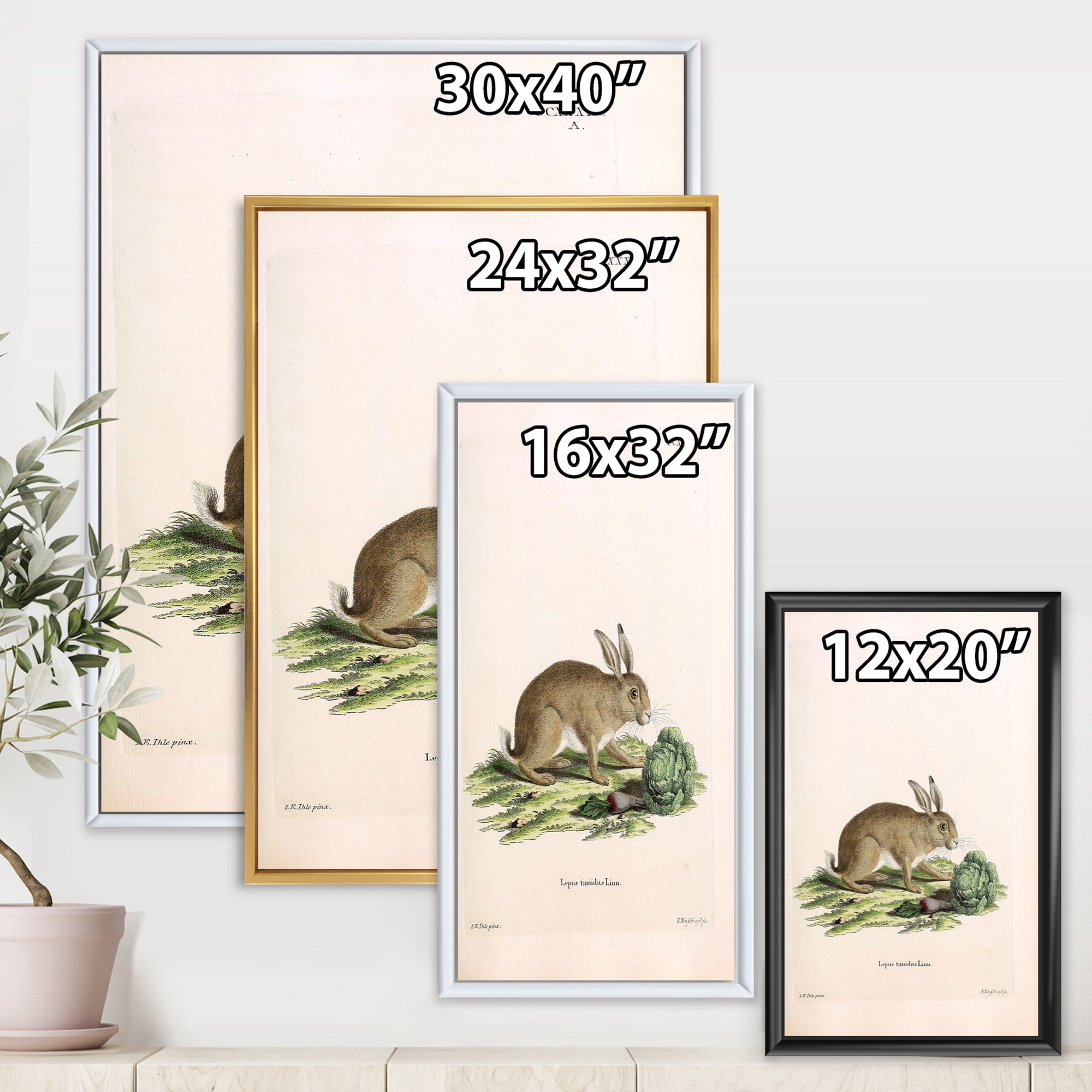 Designart 'Ancient Rabbits In Earth Tones' Farmhouse Framed Canvas Wall Art Print